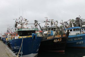 Pescadores de Valdivia protestaron con embarcaciones por cuota de captura de sardina y anchoveta