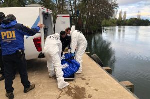 Hallan flotando en un río un cuerpo que correspondería a joven desaparecido en Río Bueno