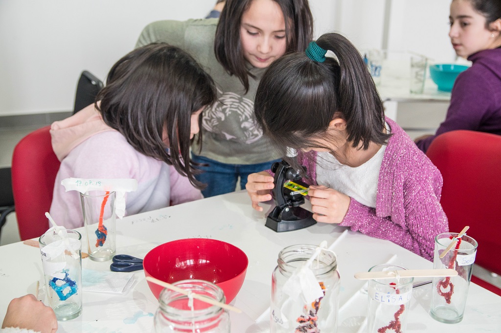 Nuevos laboratorios y un club de lectura de terror para despertar la imaginación en Valdivia