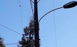 Más de tres mil clientes fueron afectados por corte de suministro eléctrico en la costa de Valdivia