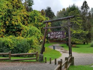 Iniciaran trabajos de mantención en el Jardín Botánico de la UACh