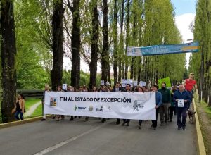 Rector de la UACh encabezó manifestación en el centro de Valdivia