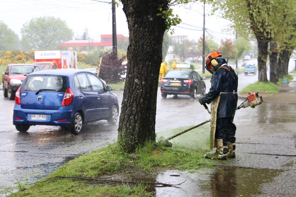 Trabajadores de ornato de Valdivia tendrán contratos indefinidos y mayores sueldos