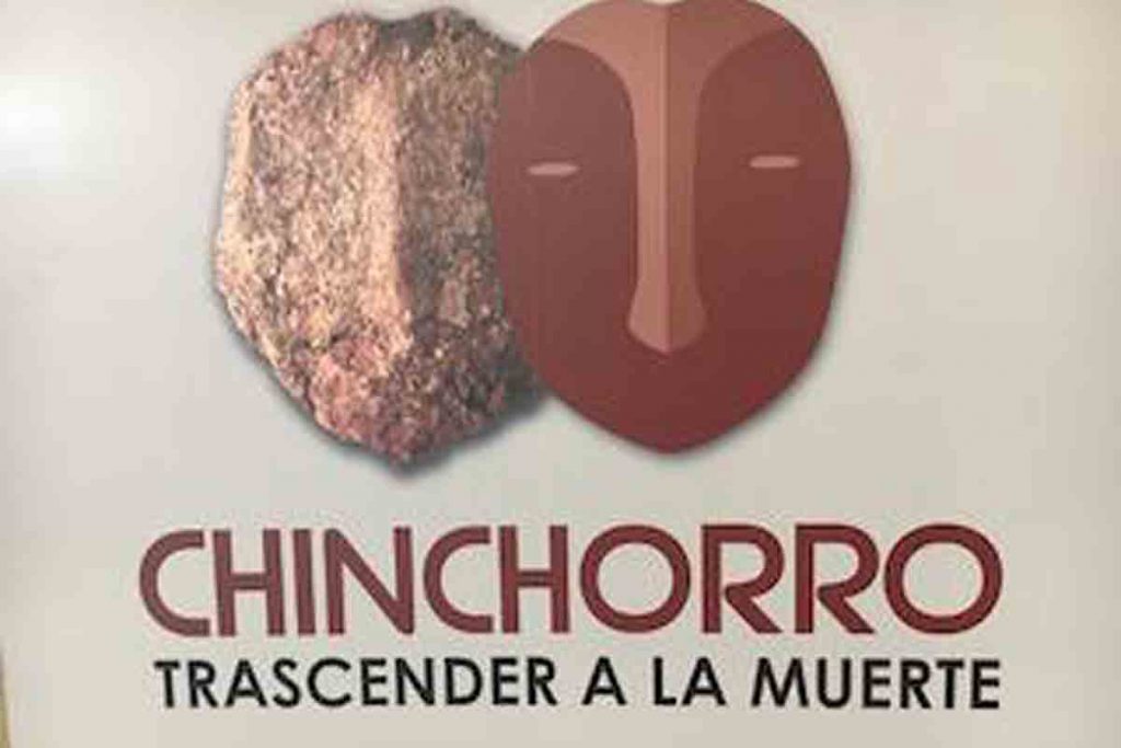 Valdivia: Exhibición revelará aspectos inéditos de cultura milenaria Chinchorro