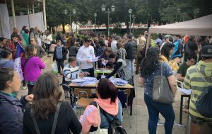 Más de 17 mil personas participaron de Consulta Ciudadana Alternativa en Valdivia