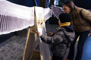 Exposición gratuita sobre aves y el vuelo llegará en enero a Futrono