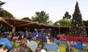 Con villancicos encenderán el gran árbol de Navidad de Paillaco