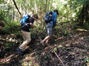 Huilo Huilo inaugura portal con cinco días de trekking desde Neltume al acceso norte de la reserva