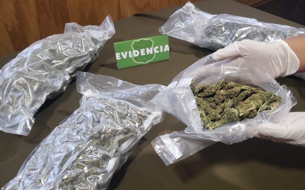 En prisión preventiva quedó hombre sorprendido con tres kilos de marihuana en Valdivia