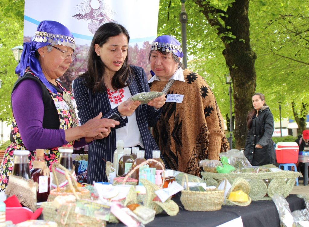 Este fin de semana treinta artesanos de la Región de Los Ríos mostrarán sus trabajos en Lago Ranco