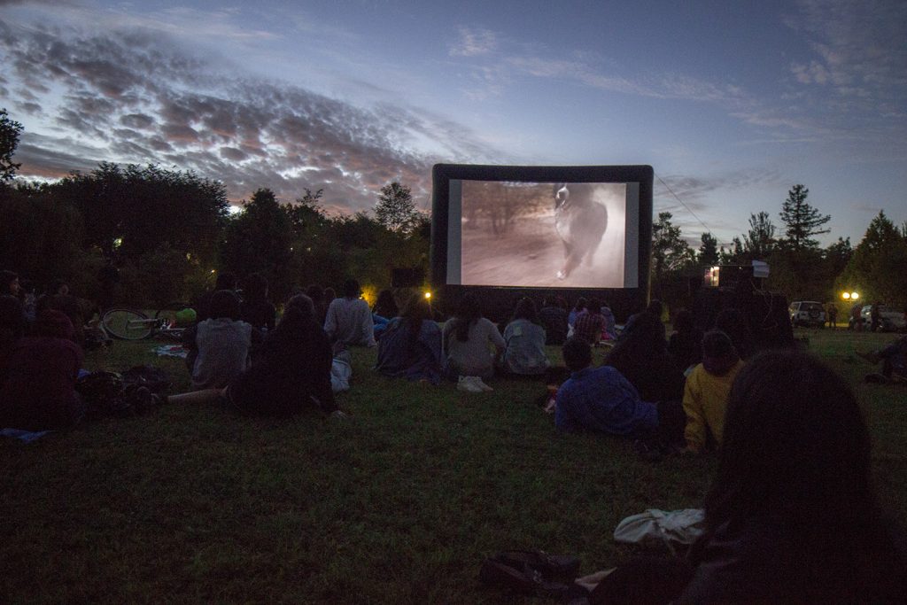 Música, cine y poesía: FICValdivia en verano vuelve con tres días de programación