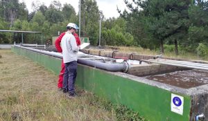 Inician sumario sanitario en planta de tratamiento municipal por contaminación de río en Paillaco