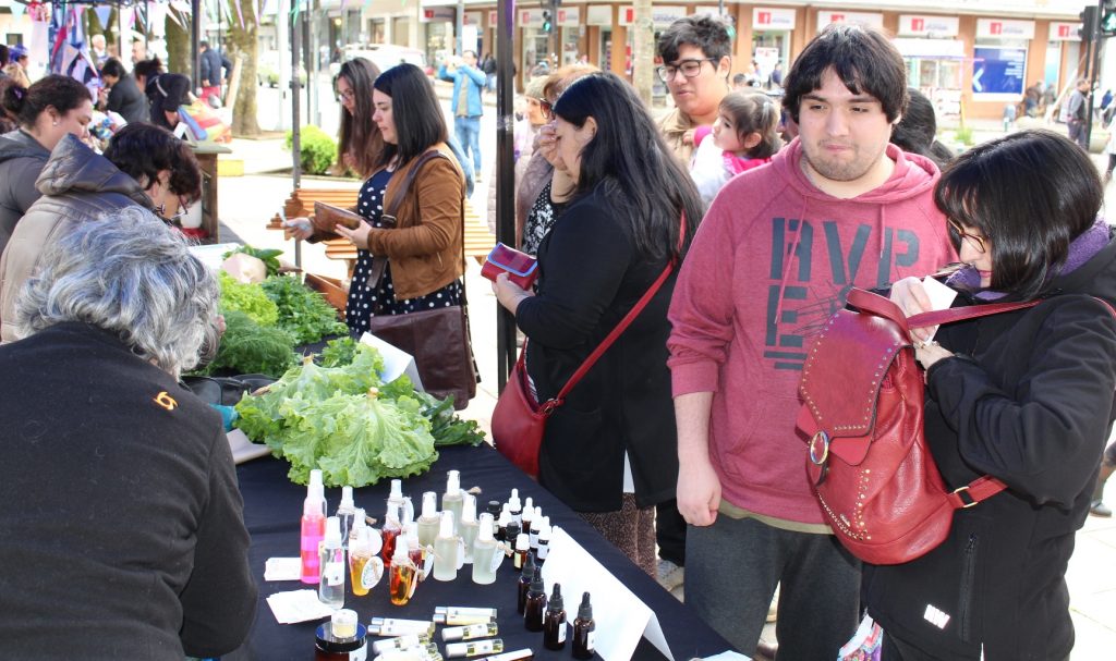 Durante tres días artesanos de Valdivia ofrecerán sus productos en ExpoFosis de Niebla