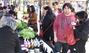 Durante tres días artesanos de Valdivia ofrecerán sus productos en ExpoFosis de Niebla