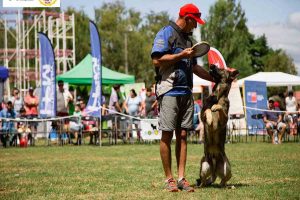 Festival de Canes vuelve este sábado con variadas categorías a Valdivia