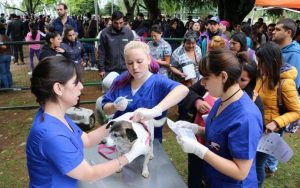 Este semestre entraría en funcionamiento la Veterinaria Municipal de Valdivia