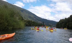 Con navegación en kayak comunidades mapuche invitan a recorrer el río Cua Cua en Neltume