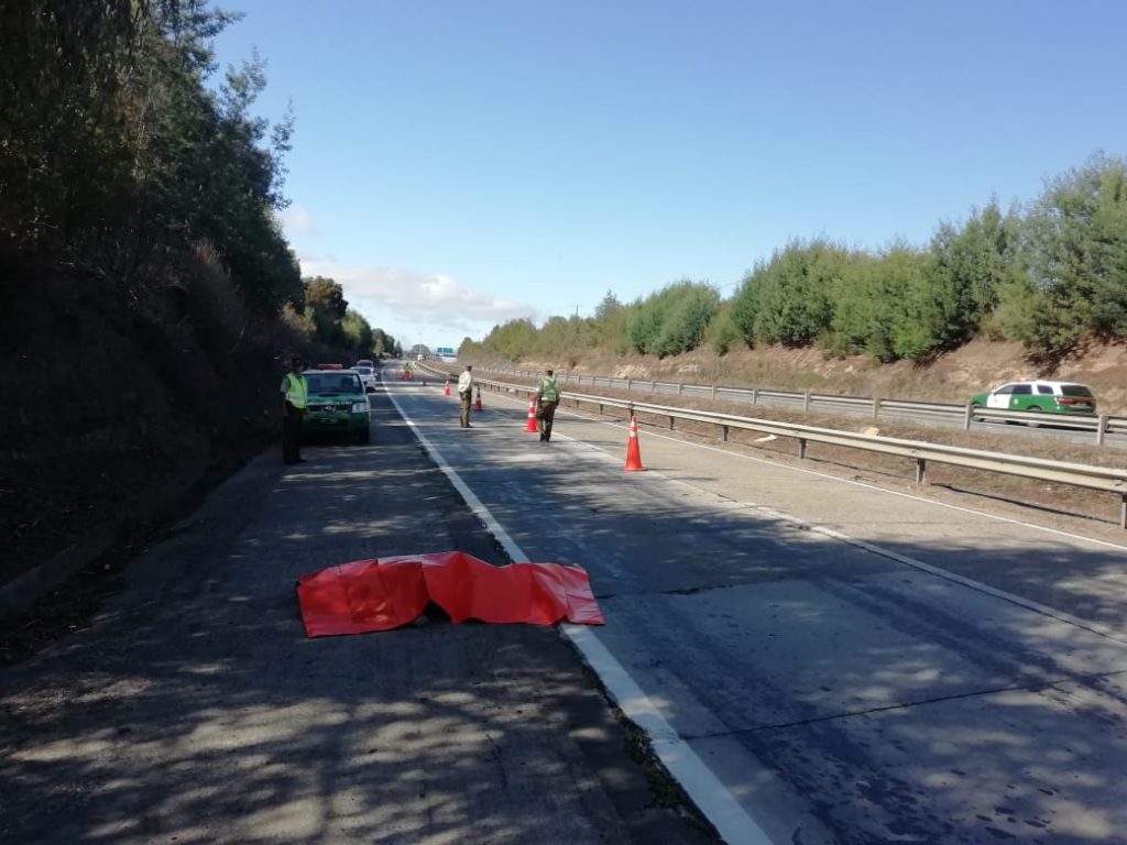 Hombre fue encontrado muerto en la Ruta 5 Sur a la altura de Máfil