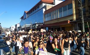 Multitudinaria marcha se realizó en Valdivia en conmemoración del 8M