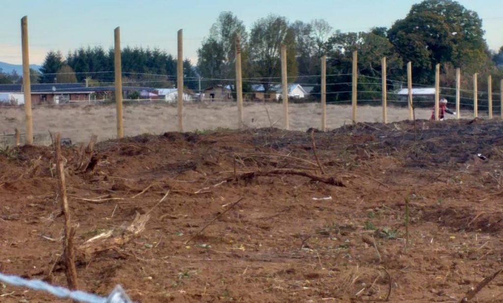 Denuncian destrucción de terreno de APR de Pufudi en Mariquina