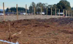 Denuncian destrucción de terreno de APR de Pufudi en Mariquina