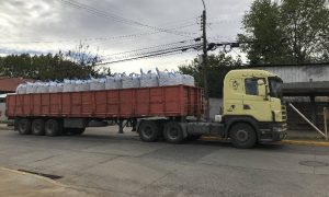 Municipio de Paillaco recibió donación de 50 mil kilos de papas para habitantes de la comuna