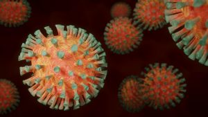 Los Ríos registra 130 contagios diarios de Coronavirus: Casos activos bajan a 1.239