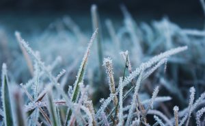 Declaran Alerta Temprana Preventiva por temperaturas bajo cero que se prevén en Los Ríos