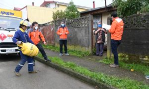 Municipio de Valdivia entregará 2.300 cupones de gas para adultos mayores y familias vulnerables