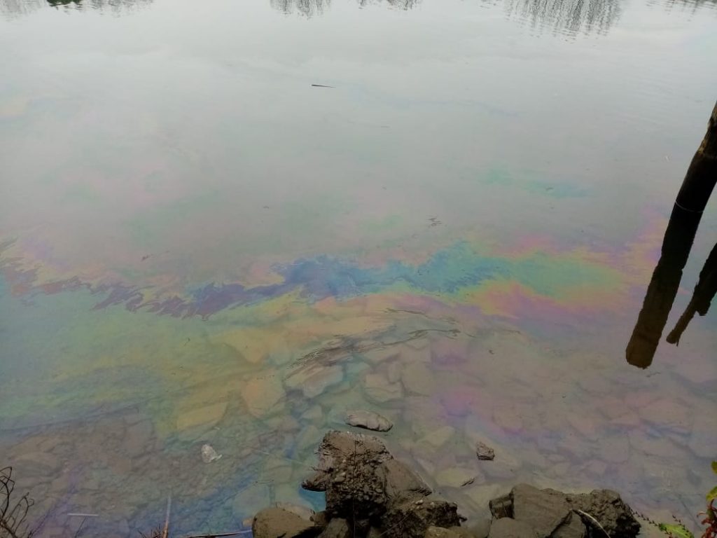 Armada investiga aparición de una mancha oleosa en el río Valdivia