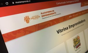 Valdivia: 187 emprendedores ofrecen sus servicios con delivery en página web municipal