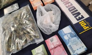 Decomisan más de un kilo de marihuana y clorhidrato de cocaína en Panguipulli