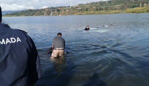 Armada rescató a familia que cayó en un camioneta al lago Panguipulli