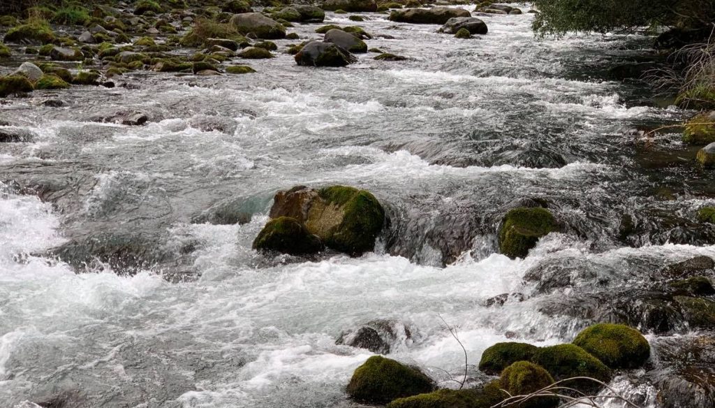 Decretan Alerta Amarilla por aumento de caudal de Río Golgol