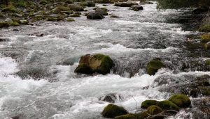 Ordenan subsanar deficiencias en planta de aguas servidas tras contaminación del Río Collilelfu