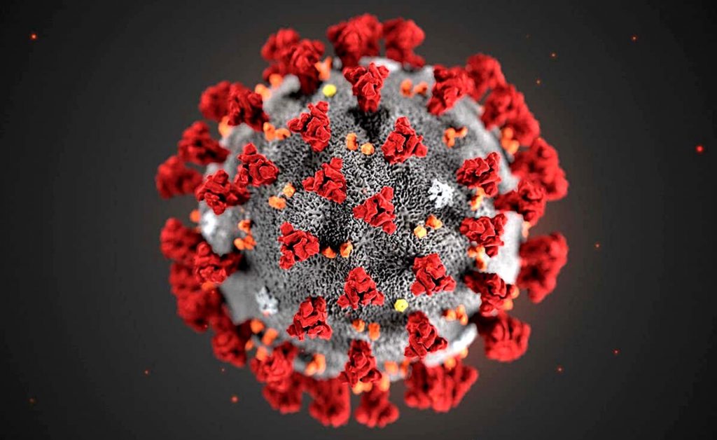 Ocho nuevos contagios de Coronavirus en Los Ríos: Hay cuatro comunas sin casos activos