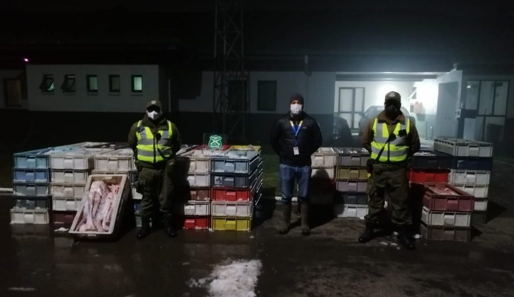 Incautan casi cinco toneladas de pescado sin autorizaciones en La Unión