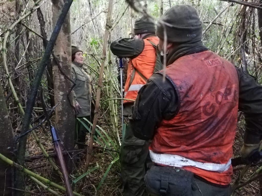 Se desorientó y refugió entre arbustos: Hallan a mujer que se extravió en sector rural de Valdivia