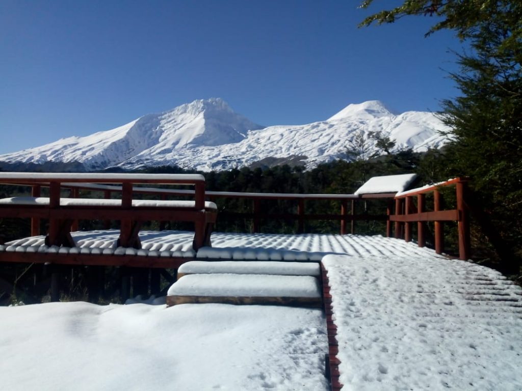 Con horario restringido y medidas sanitarias: Reabren Reserva Nacional Mocho Choshuenco