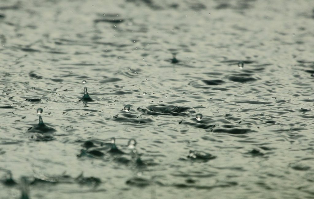 Proyecto de parque inundable: La iniciativa que busca mejorar el manejo de aguas lluvias en Valdivia