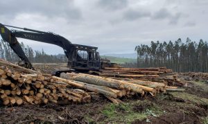 Gobierno presentó querella por ataque incendiario a cuatro máquinas forestales en Los Ríos