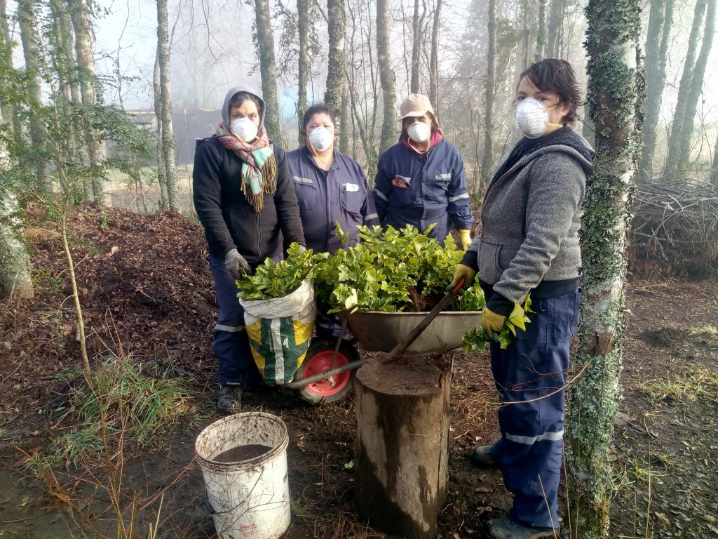 Panguipulli: Implementación de parcelas melíferas beneficiará 25 apicultores de la zona