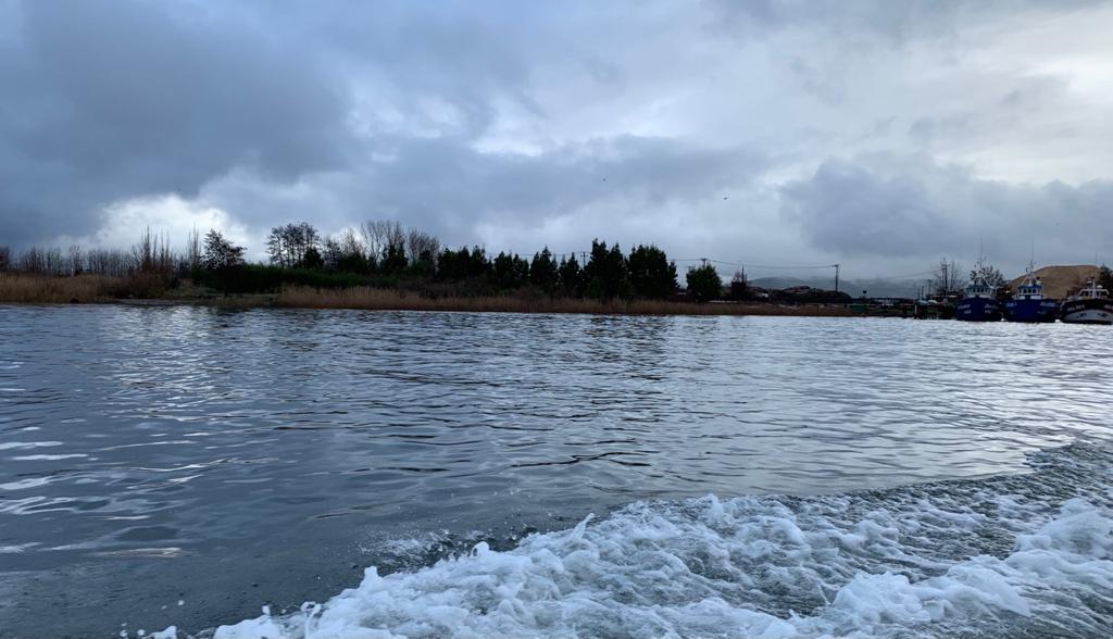 Estudio de académico UACh: Descenso de caudales afectaría calidad de agua potable en Valdivia