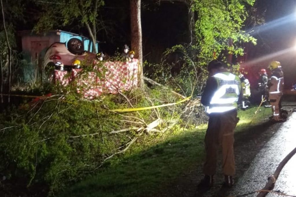 Conductor falleció tras chocar su vehículo contra un árbol en Panguipulli