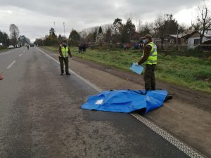 Hallan cuerpo de peatón en ruta de Mariquina: Investigan un posible atropello