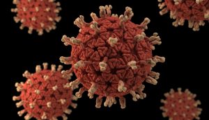 Suben a treinta los nuevos casos de Coronavirus en Los Ríos y se incrementan a 219 los contagios activos