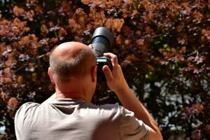 Hasta fin de mes se puede participar en concurso fotográfico de la UACh "Fotoconciencia 2020"