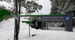 Cierran parcialmente el Parque Nacional Villarrica Sur y la Reserva Nacional Mocho Choshuenco