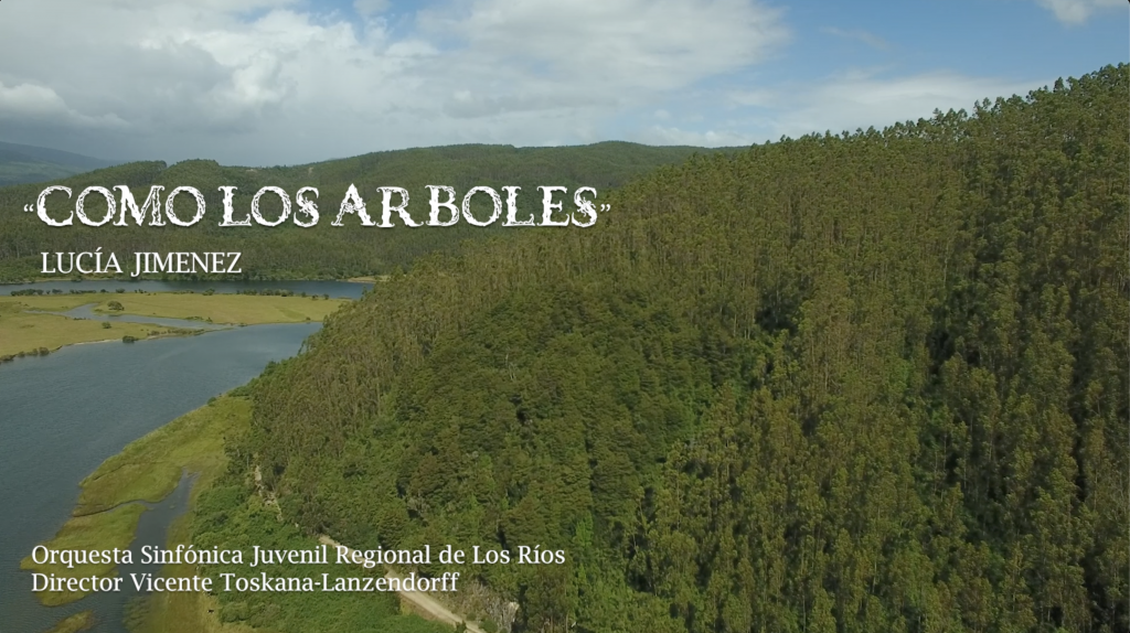 "Como los Árboles": Orquesta Sinfónica Juvenil estrenará pieza musical sobre la flora y fauna de Los Ríos