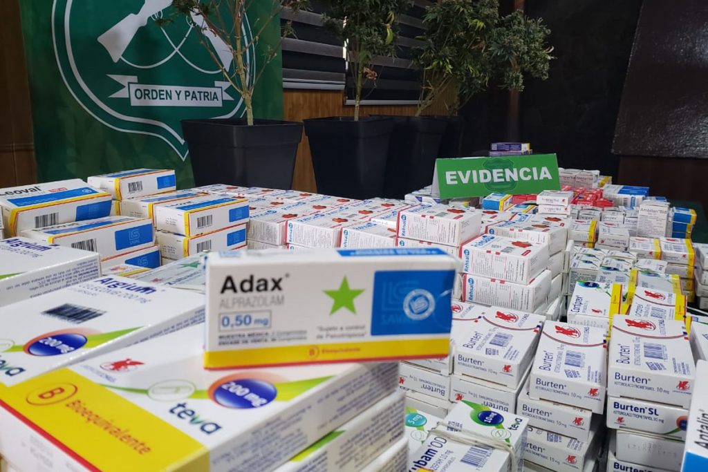 Mujer fue detenida por mantener más de 700 cajas de fármacos y marihuana en Valdivia